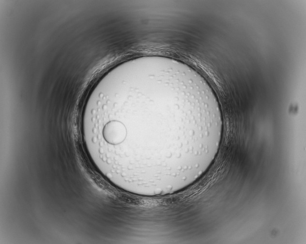 X0000098040682200804181257