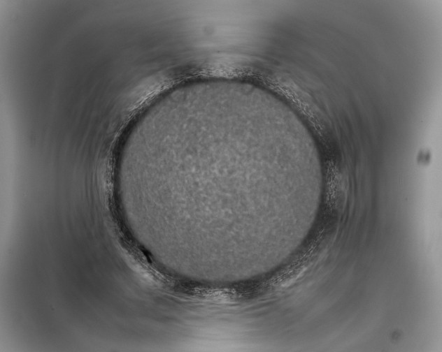 X0000098040683200804181257