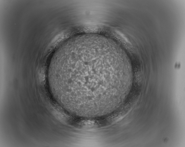 X0000098040687200804181257