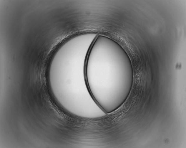 X0000098040688200804181257