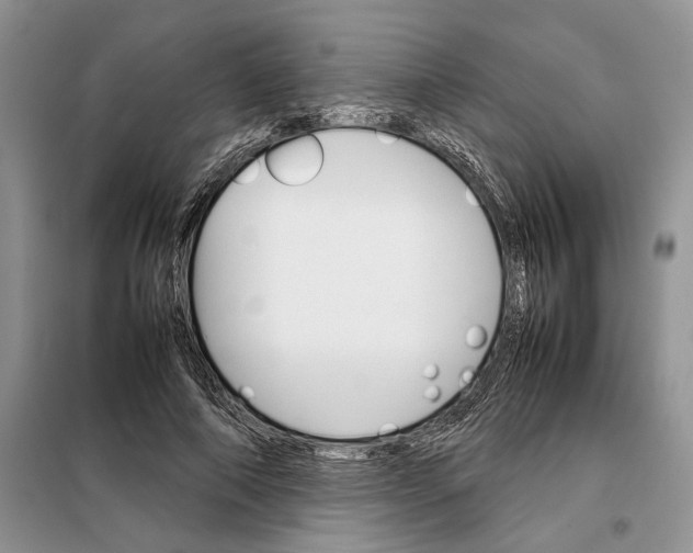 X0000098040690200804181257