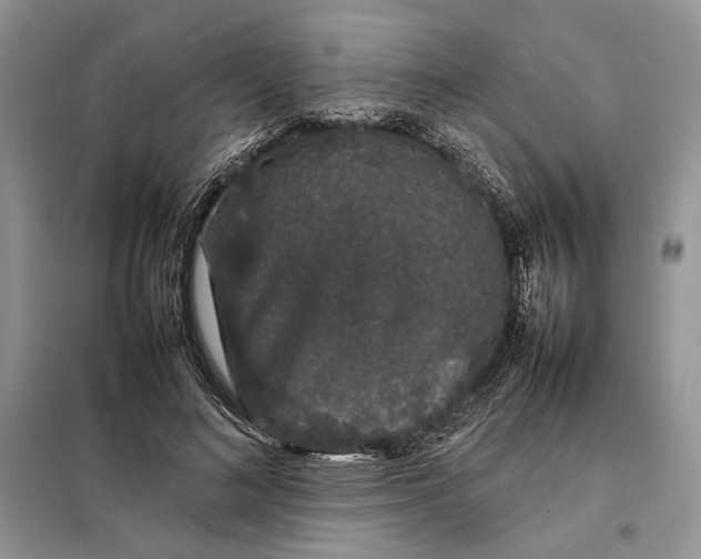 X0000098040692200804181257