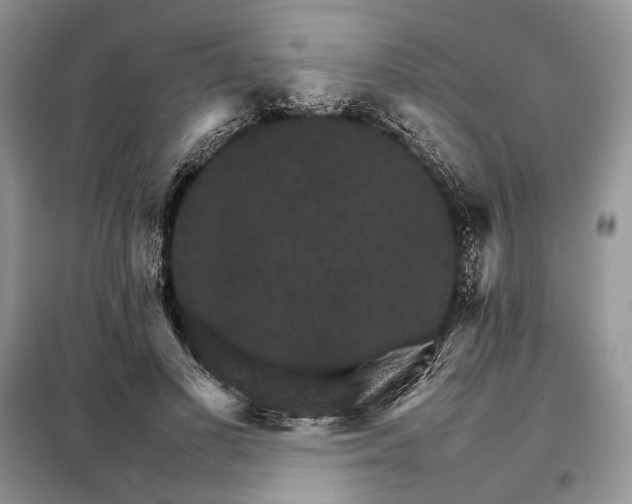 X0000098040693200804181257