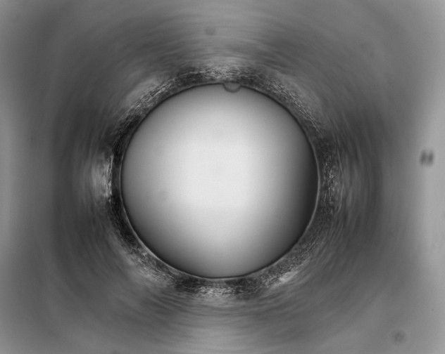 X0000098040694200804181257