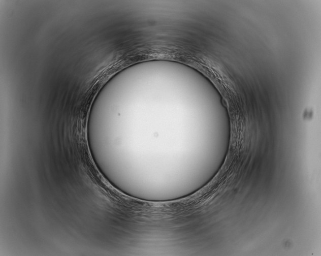 X0000098040696200804181256