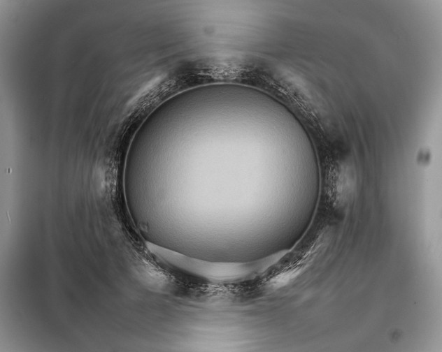 X0000098040697200804181256