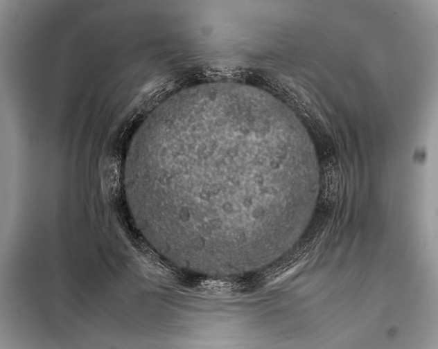 X0000098040699200804181256