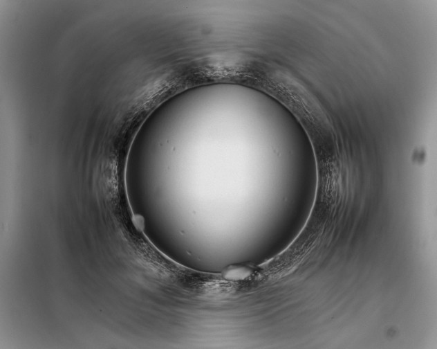 X0000098040700200804181256