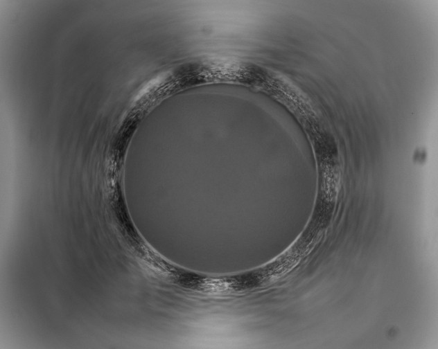 X0000098040701200804181256