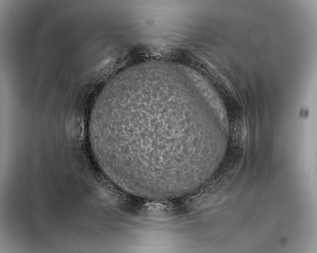 X0000098040703200804181256