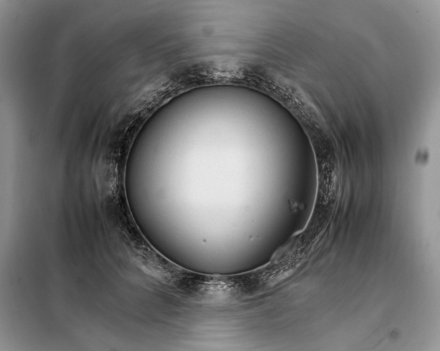 X0000098040704200804181256