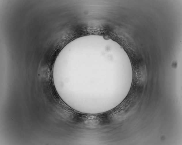 X0000098040705200804181256