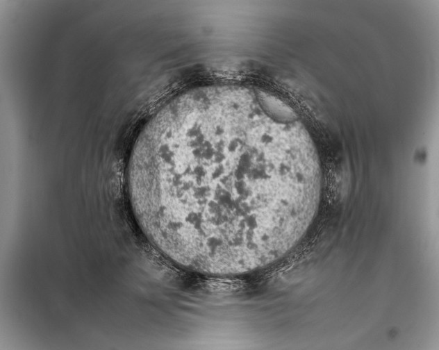 X0000098040707200804181256