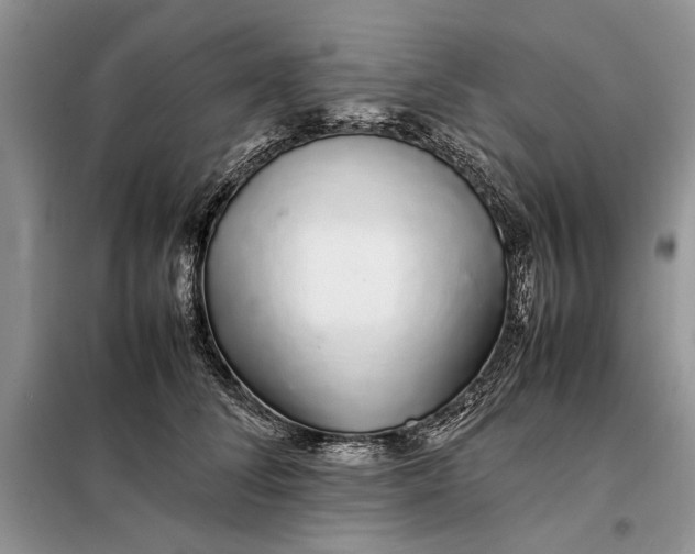 X0000098040708200804181256