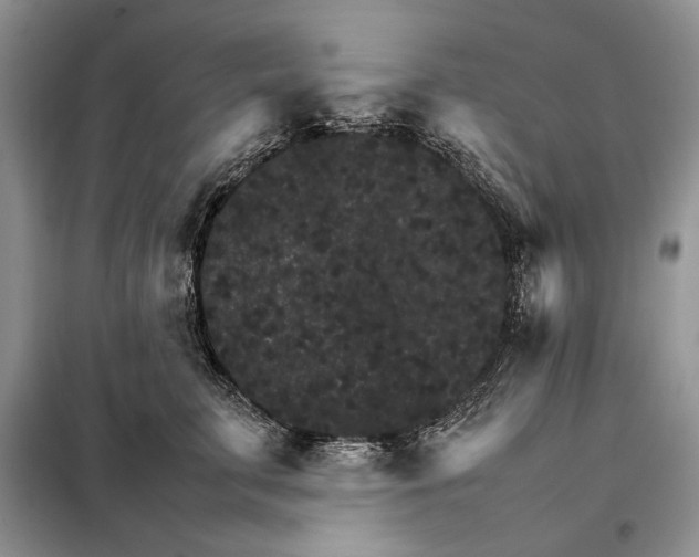 X0000098040711200804181256