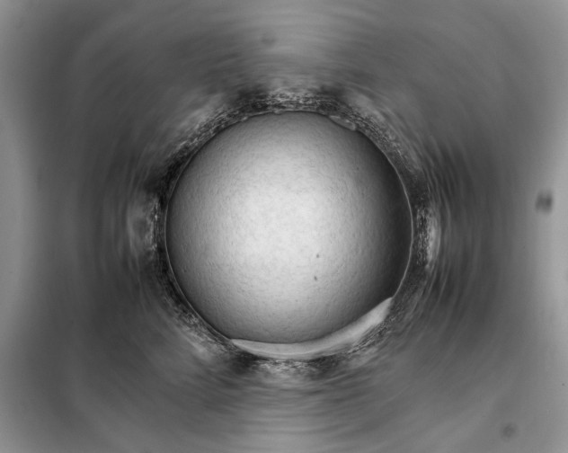 X0000098040712200804181256