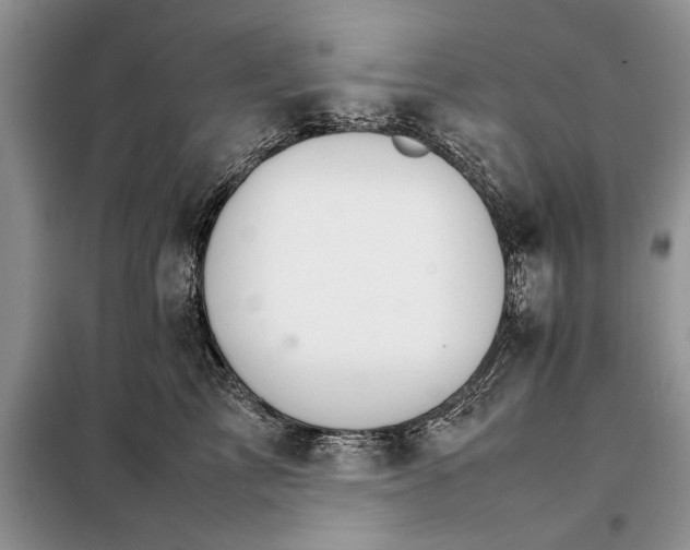 X0000098040713200804181256