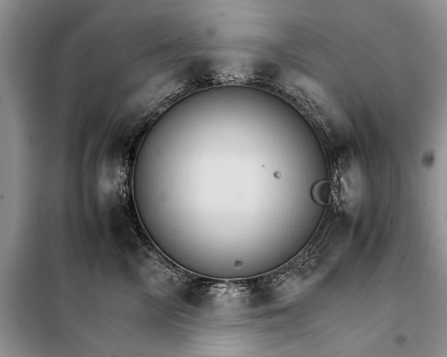 X0000098040714200804181256