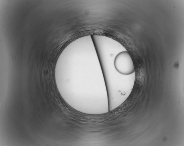 X0000098040715200804181256