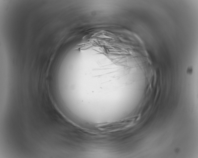 X0000098040717200804181256