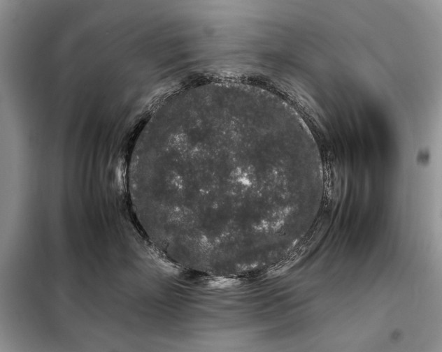 X0000098040718200804181256