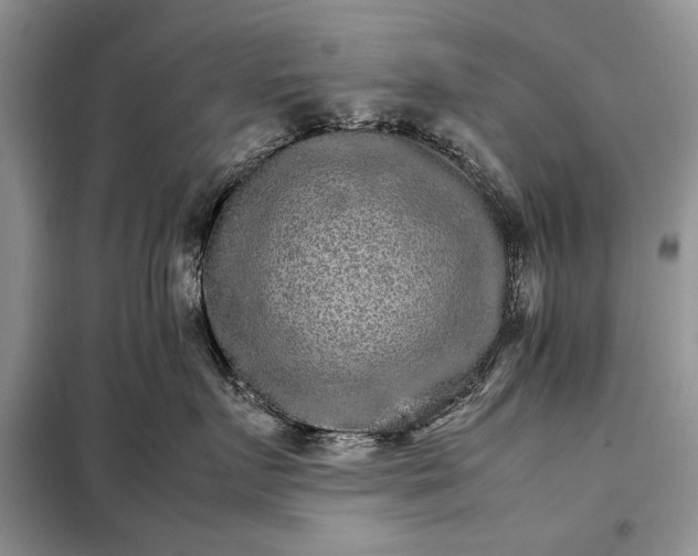 X0000098040719200804181256