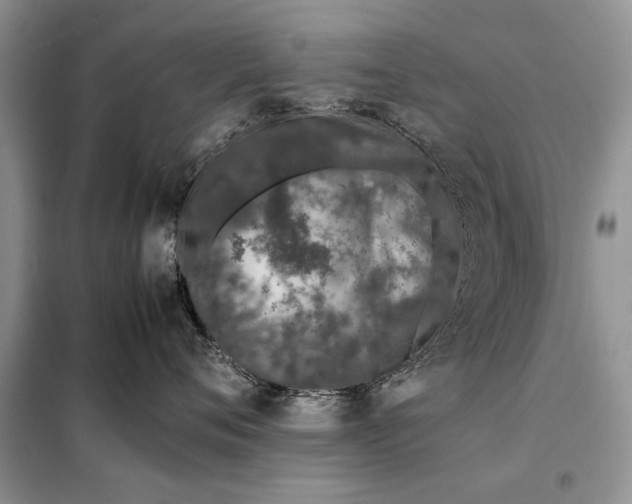 X0000098040720200804181256