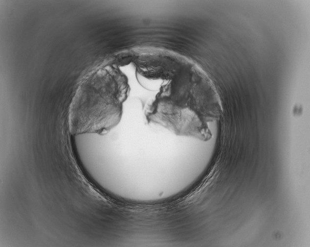 X0000098040721200804181255