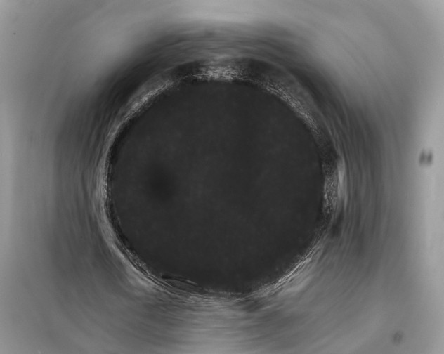 X0000098040722200804181255