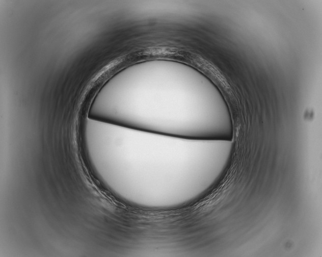 X0000098040724200804181255