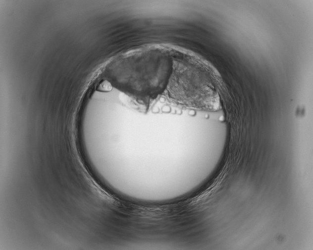 X0000098040725200804181255