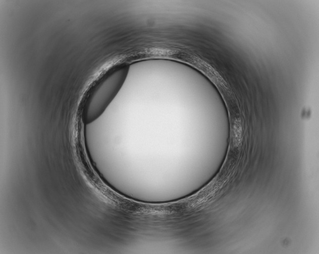 X0000098040726200804181255