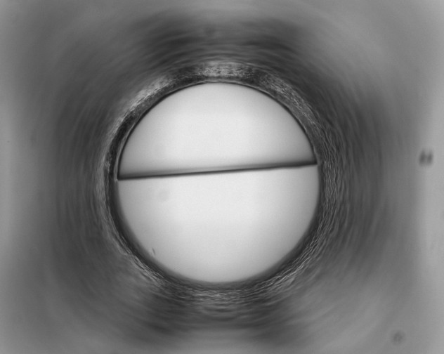 X0000098040727200804181255