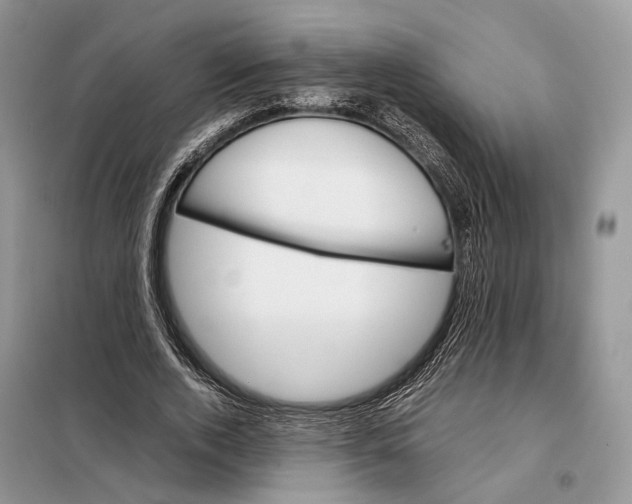 X0000098040728200804181255