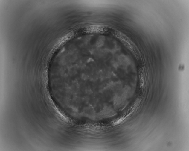 X0000098040729200804181255