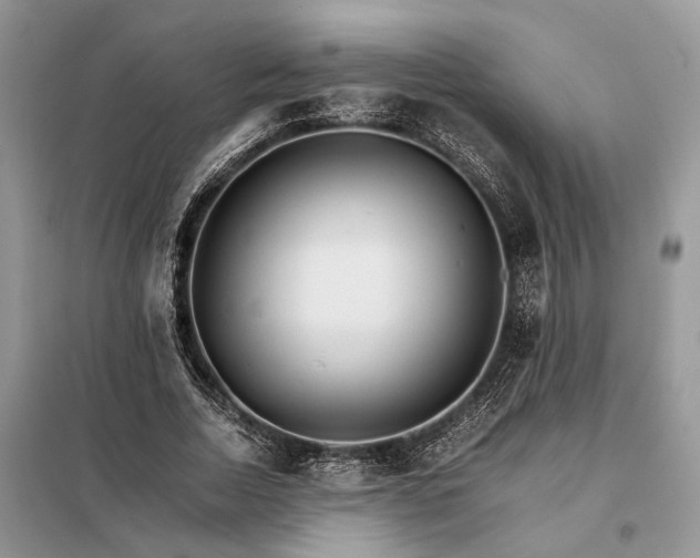 X0000098040730200804181255