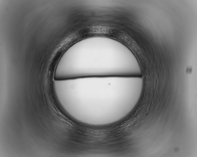 X0000098040731200804181255