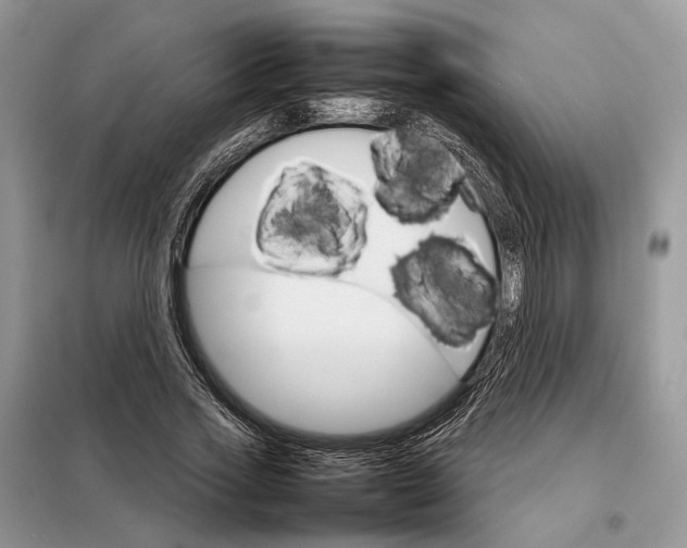 X0000098040733200804181255