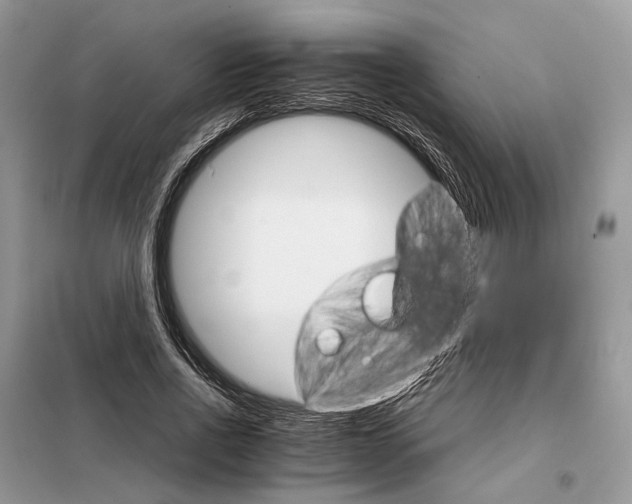 X0000098040734200804181255