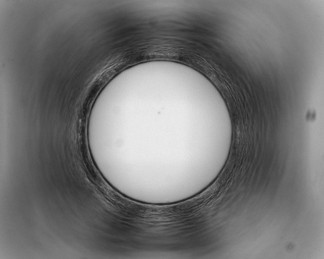 X0000098040735200804181256