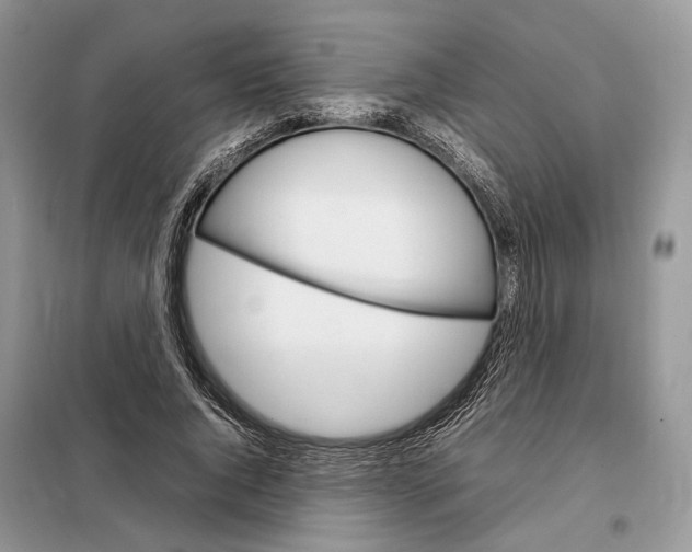 X0000098040736200804181256