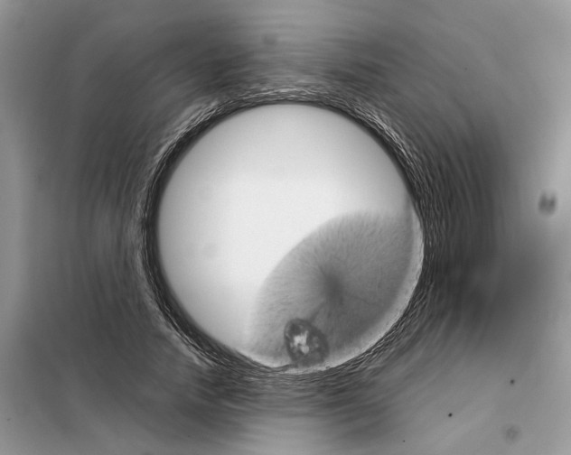 X0000098040738200804181256