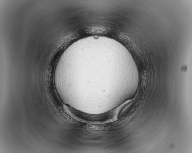 X0000098040739200804181256