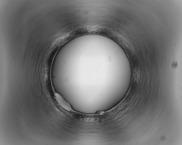 X0000098040740200804181256