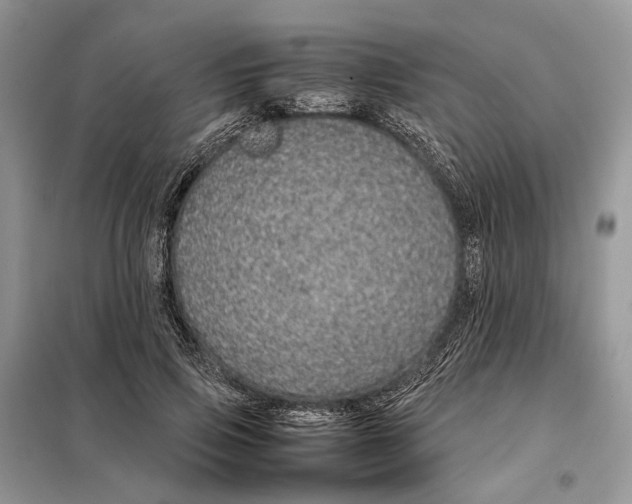 X0000098040741200804181256