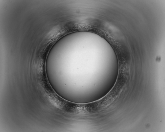 X0000098040744200804181256