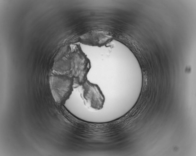 X0000098040745200804181256