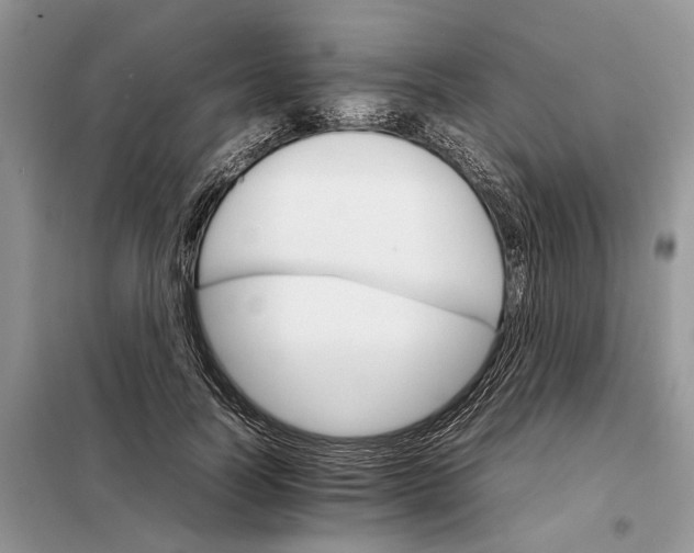 X0000098040746200804181256