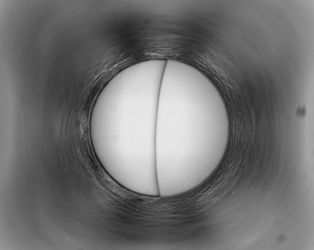 X0000098040747200804181256