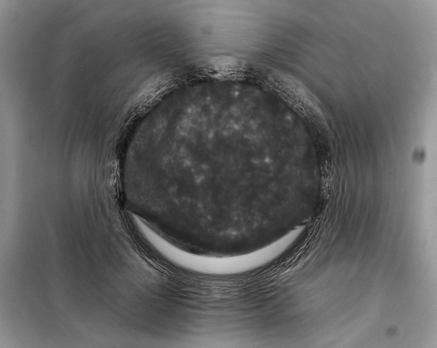 X0000098040748200804181256